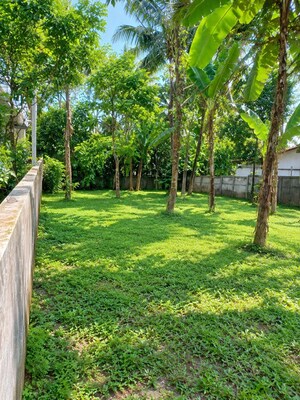  Plot – Garden View at Olary - for Sale