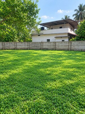  Plot – Garden View at Olary - for Sale