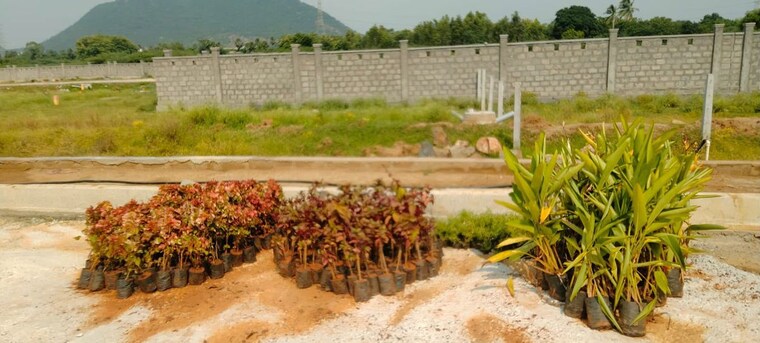 undefined, lankelapalem  180 Sq.Ft. Plot In Lankelapalem Vizag 10695796