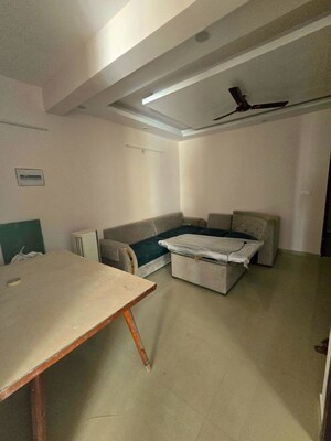 Team Area in 3 BHK Builder Floor at Sector 22 – for Rent