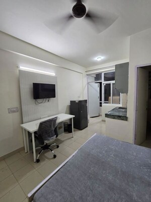 1 BHK Builder Floor For Rent in Sector 23