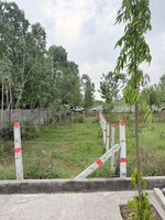 225 Sq.Ft. Plot in Biharigarh
