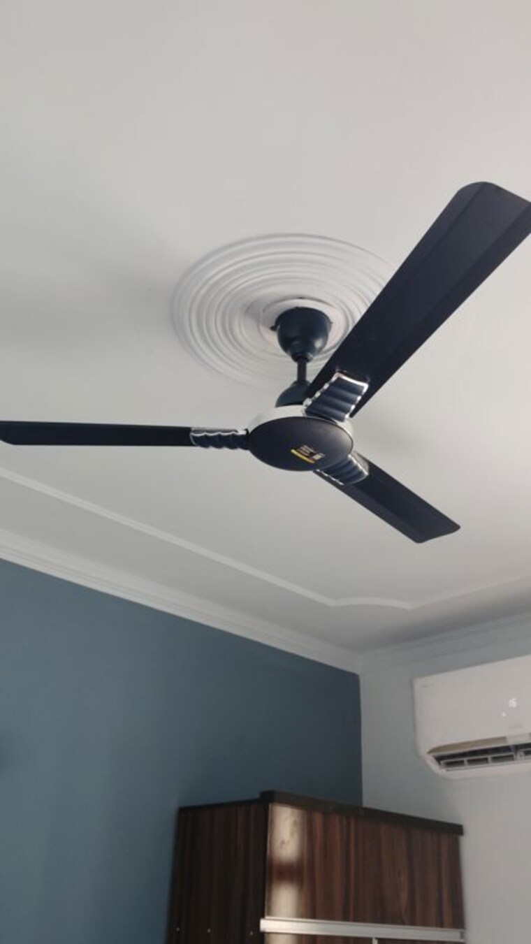 undefined, mittal-cosmos-executive-apartment 1 Bedroom 450 Sq.Ft. Apartment In Sector 2 Gurgaon 10696065