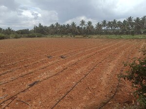  Plot For Sale in Avalapalli