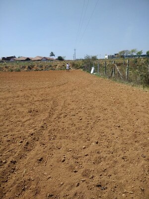Plot Area in  Plot at Avalapalli – for Sale
