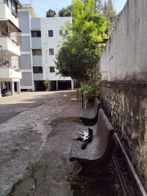 2 BHK Apartment – Exterior View View at Salisbury Park - for Rent