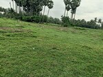 166 Sq.Yd. Plot in Kothapalem