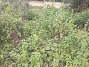  Land – Exterior View View at Vajarahalli - for Sale