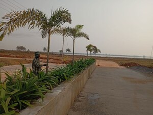 Plot Area in  Plot at Dharampura – for Sale