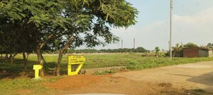Plot Area in  Plot at Dharampura – for Sale