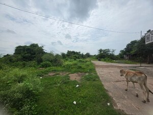  Land For Sale in Sindewahi