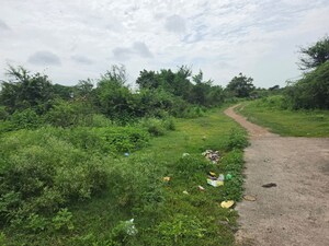 Plot Area in  Land at Sindewahi – for Sale