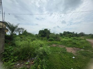 Plot Area in  Land at Sindewahi – for Sale