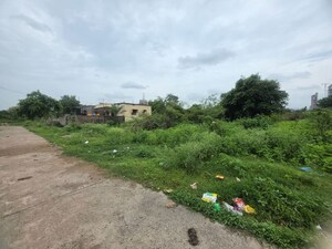 Plot Area in  Land at Sindewahi – for Sale