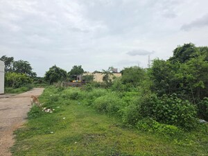  Land – Garden View at Sindewahi - for Sale