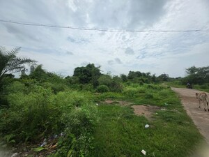  Land – Garden View at Sindewahi - for Sale