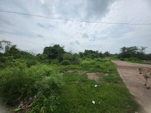  Land – Garden View at Sindewahi - for Sale