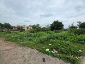 Plot Area in  Land at Sindewahi – for Sale