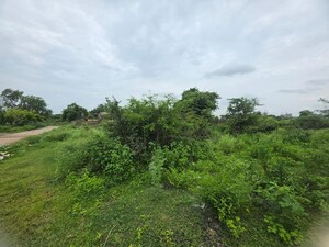  Land – Garden View at Sindewahi - for Sale