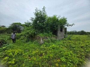 Land For Sale in Sindewahi