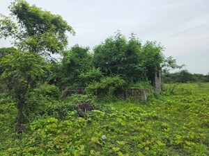  Land – Garden View at Sindewahi - for Sale