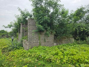Plot Area in  Land at Sindewahi – for Sale