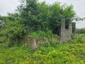 Plot Area in  Land at Sindewahi – for Sale