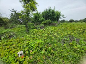  Land – Garden View at Sindewahi - for Sale