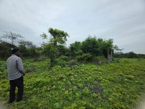 Plot Area in  Land at Sindewahi – for Sale