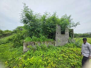 Plot Area in  Land at Sindewahi – for Sale