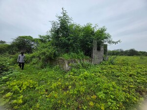 Plot Area in  Land at Sindewahi – for Sale
