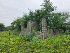 Plot Area in  Land at Sindewahi – for Sale
