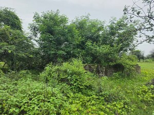 Plot Area in  Land at Sindewahi – for Sale