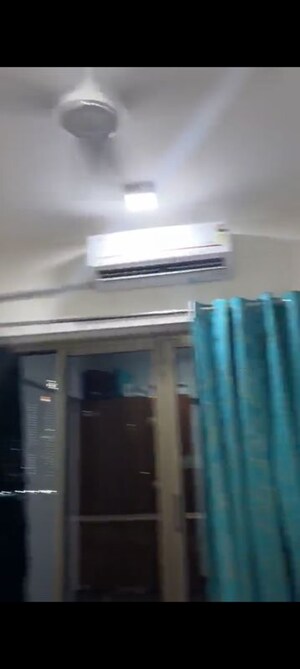  Pg For Rent in Kemps Corner