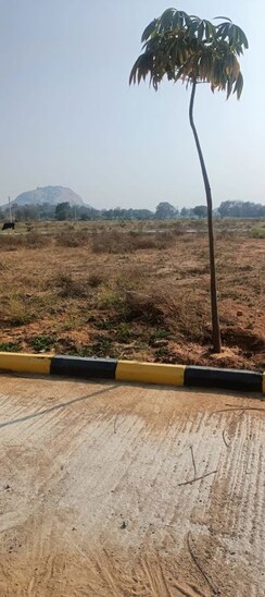 Plot For Sale in Fortune Butterfly City