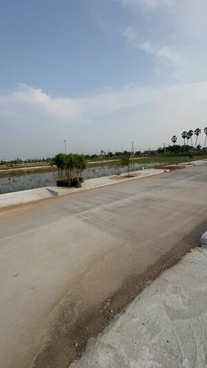Plot Area in  Plot at Pathapadu – for Sale
