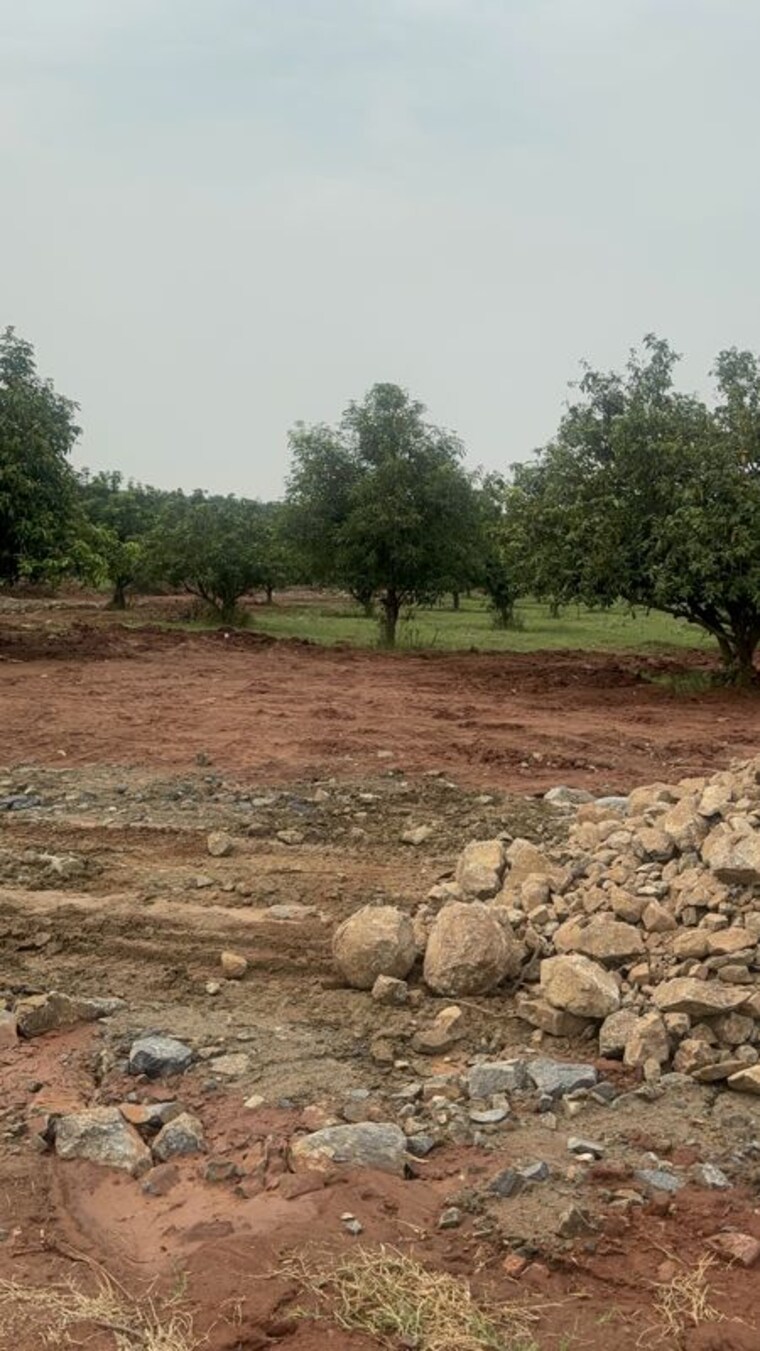 undefined, surampalli  266 Sq.Yd. Plot In Surampalli Vijayawada 10697261