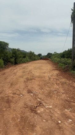 Plot For Sale in Pathapadu