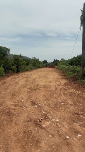  Plot For Sale in Pathapadu