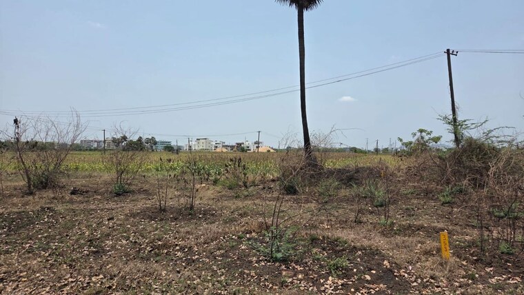undefined, pathapadu  241 Sq.Yd. Plot In Pathapadu Vijayawada 10697290