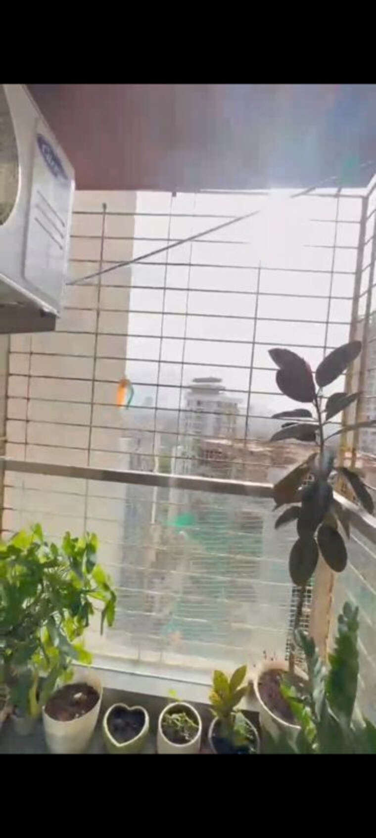 Balcony, skd-pinnacolo 3 Bedroom 783 Sq.Ft. Apartment In Mira Road Thane 10697252