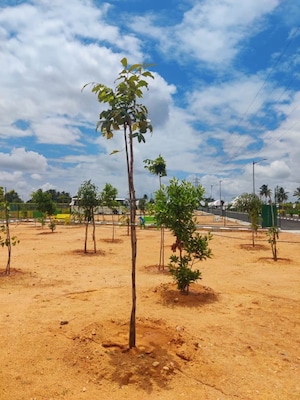 Plot Area in  Plot at Devanahalli – for Sale