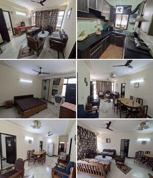 Team Area in 2 BHK Apartment at DLF The Princeton Estate, Dlf Phase V – for Rent