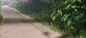  Plot – Exterior View View at Manikpur - for Sale