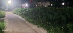 8000 Sq.Ft. Plot in Manikpur