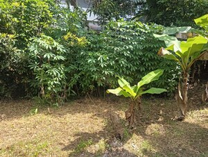  Plot – Garden View at Kuttoor - for Sale