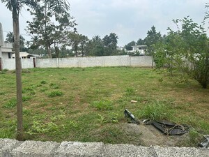  Plot For Sale in Kechery