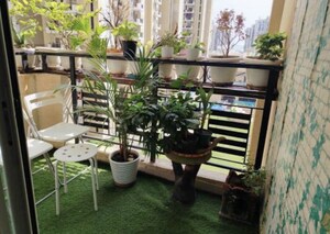 Gym in 2 BHK Apartment at Nimbus Express Park View - II, Chi V Greater Noida – for Rent