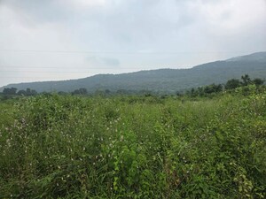 Plot For Sale in Kharodi