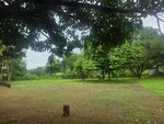 8 Acre Plot in Usha Nagar